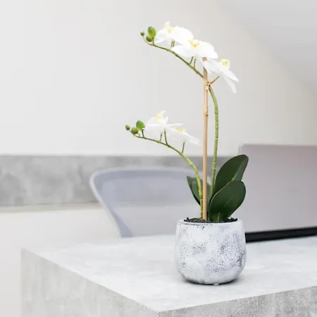 Gmare شقة فندقية غيراكيني