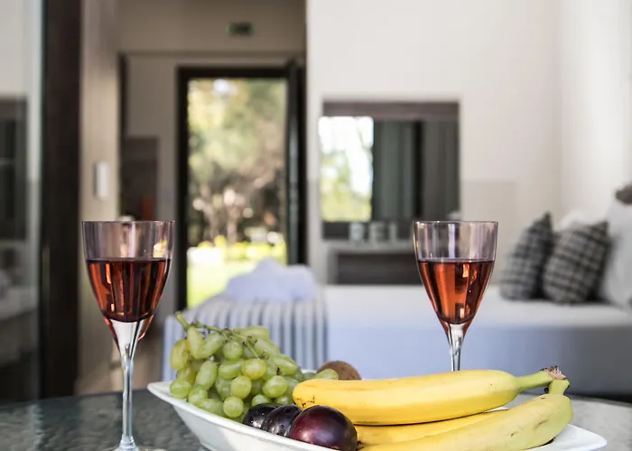 Aparthotel Gmare Gerakini