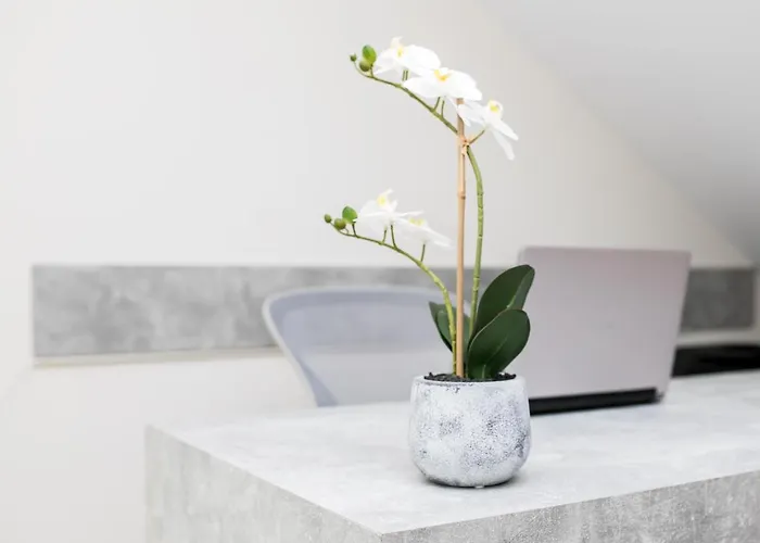 Gmare Aparthotel Gerakini