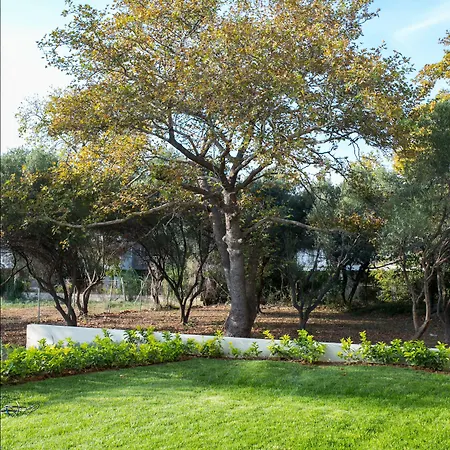 Gmare 4* 게라크니