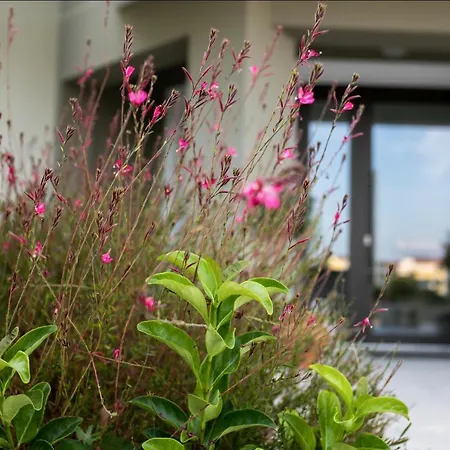 Gmare 4* 게라크니