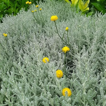 아파트호텔 Gmare